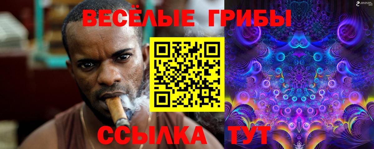 Псилоцибиновые грибы прущие грибы  Вход с VPN  Крымск  Галлюциногенные грибы Psilocybe 